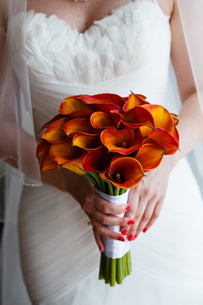 nunta la radisson blu bucuresti