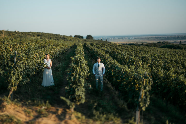 nunta in vie ioan stoica la conac